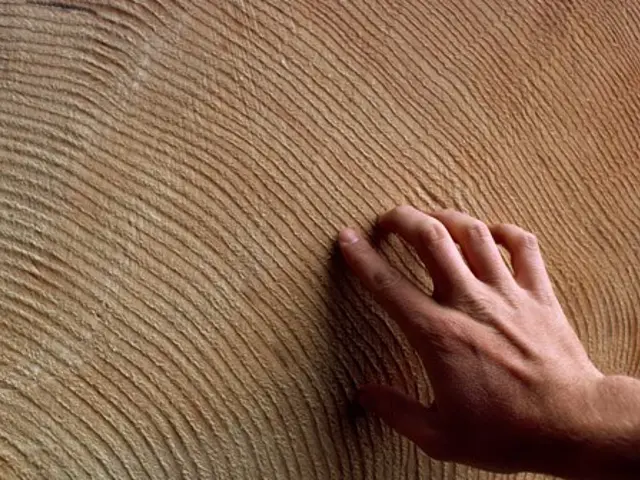 The Great Executive Rebrand