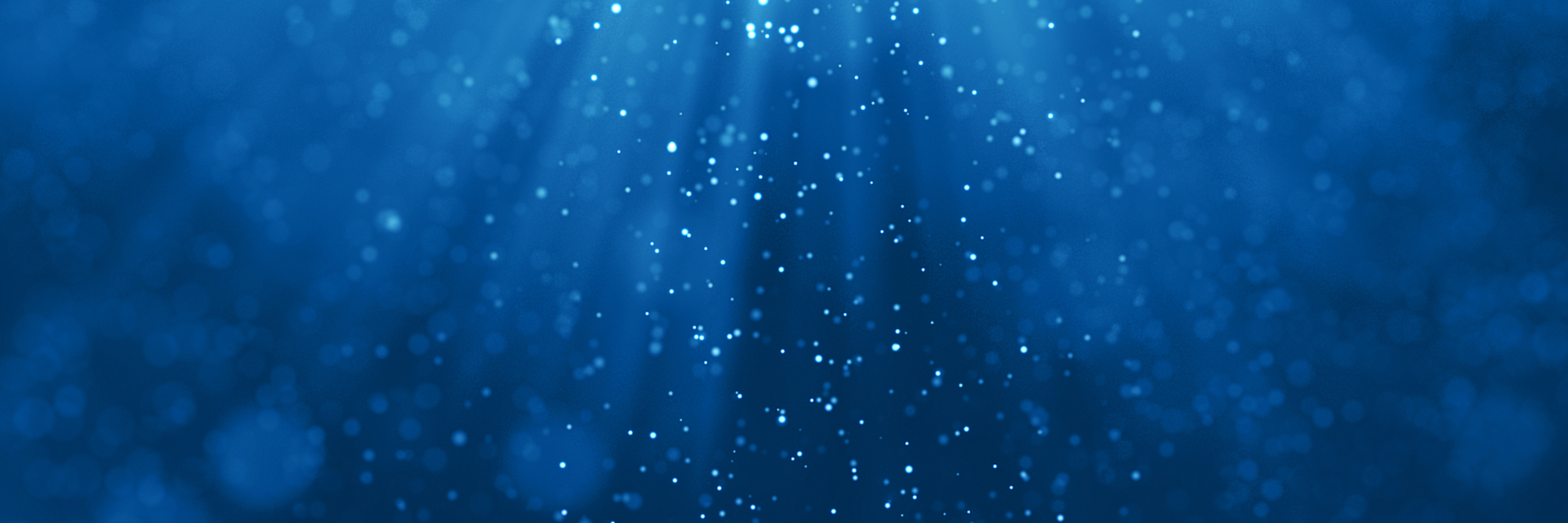 Shutterstock 1044773998