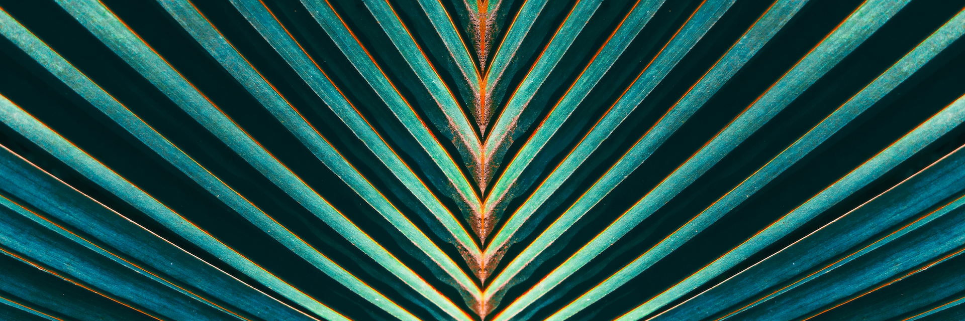 Shutterstock 552419902
